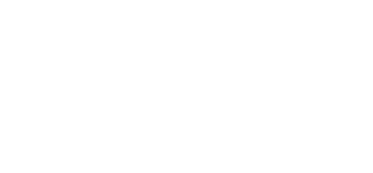 ONE Festival